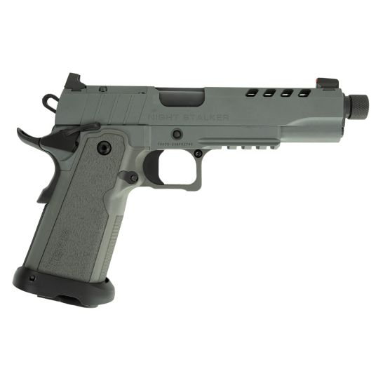 Tisas 1911 Night Stalker DS OR 9mm 5" 17rd Pistol, Platinum Grey Cerakote