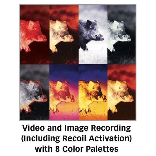 SIG Sauer ECHO3 2-12x40mm Thermal Reflex Sight, Black - SOEC32001 - Image 4